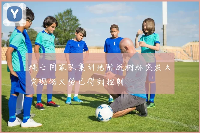 瑞士国家队集训地附近树林突发火灾现场火势已得到控制