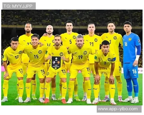 七名归化球员起诉马来西亚足协索赔因违规禁赛一年事件引发关注